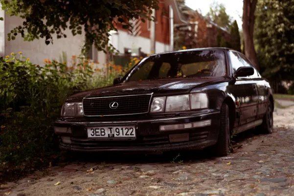 WinFest Kazino Android/iOS Lietotne